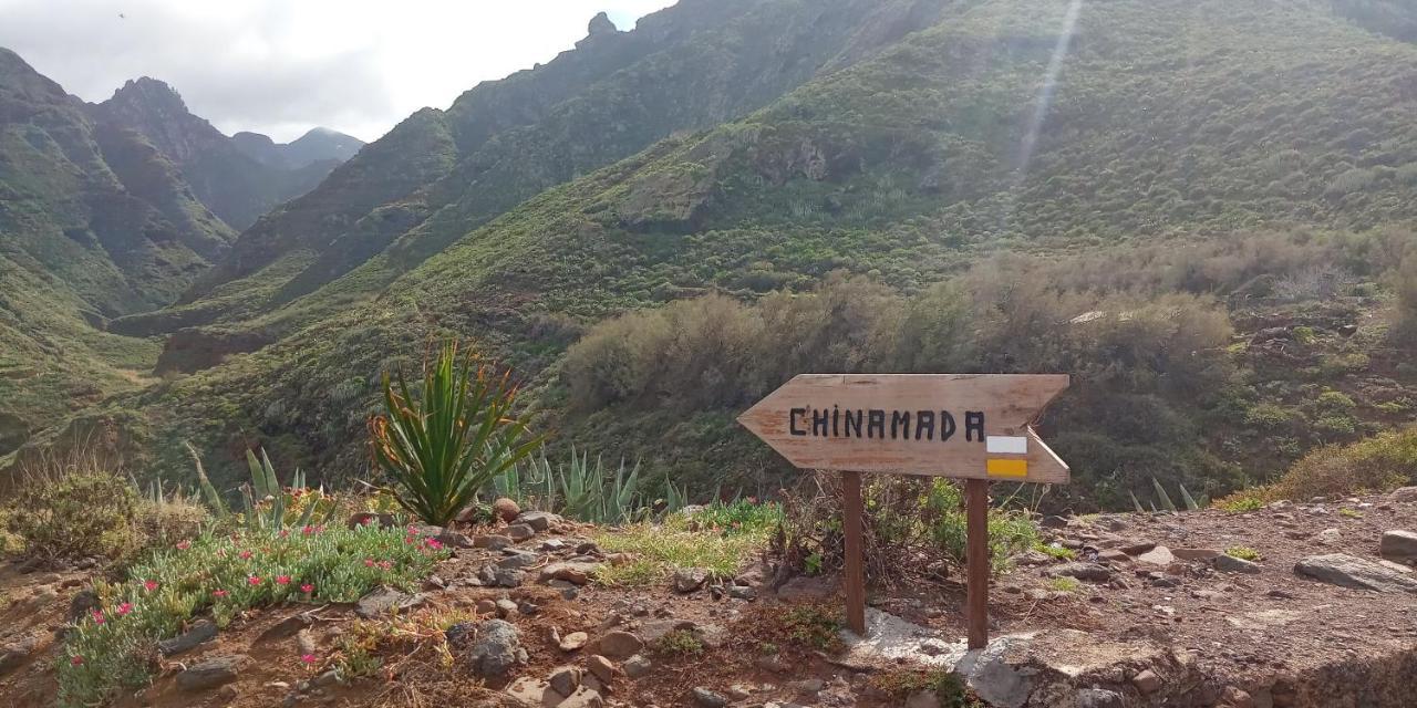 Estudio - Descanso Y Bienestar En La Punta Punta Del Hidalgo Eksteriør bilde